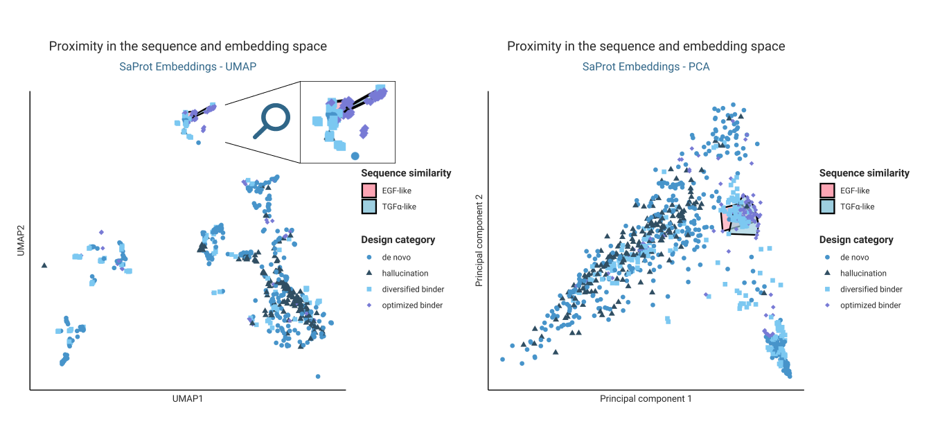 SaProt embeddings of all submissions, coloured by design category and clustered by similarity to common starting point binders.