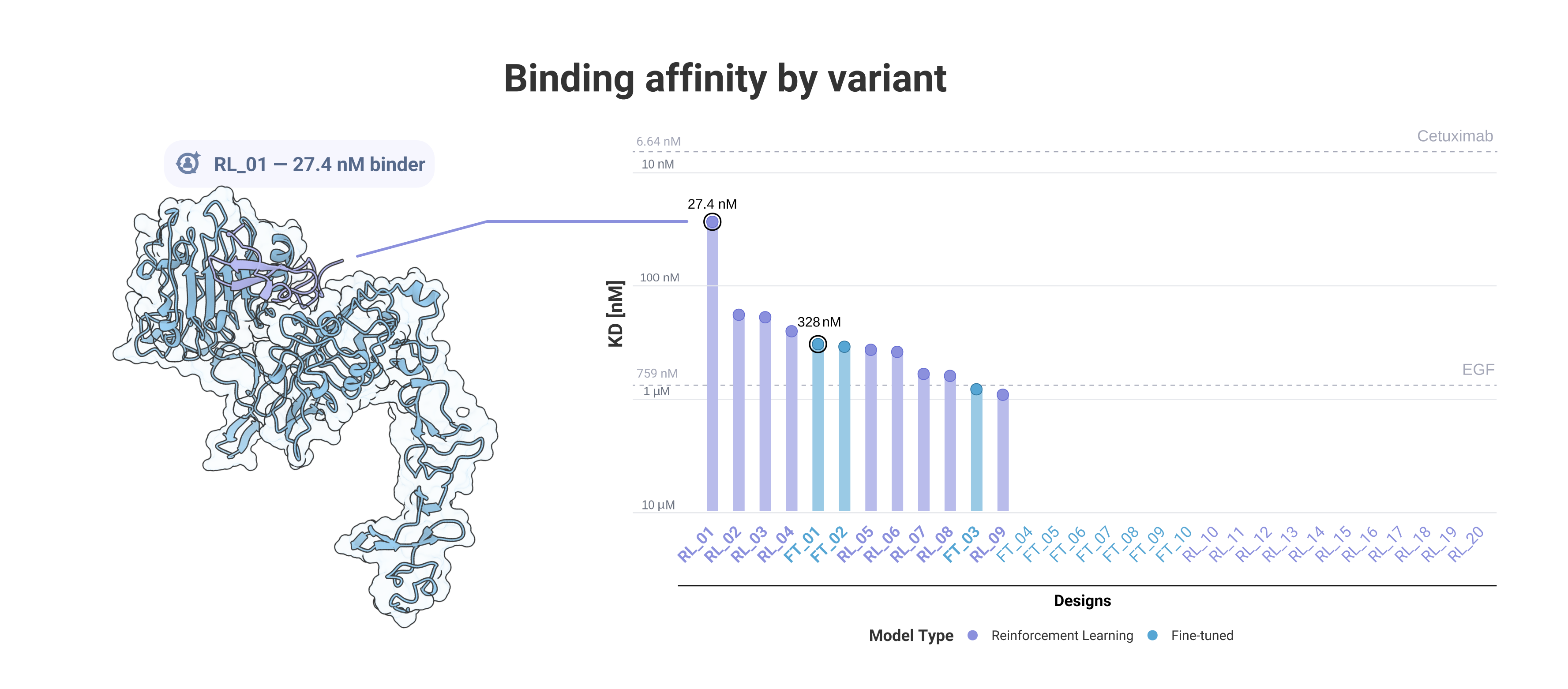 EGFR binders submitted to the Protein Design Competition using a fine-tuning (FT) method (blue) versus a subsequent ProtRL campaign (purple). Whereas 3 initial FT designs were binders, the RL campaign yielded 9/20 binders (45% hit-rate). The highest affinity binder was achieved with the RL method, at a K_D of 27.4 nM (see structure of the binder RL_01 bound to EGFR).