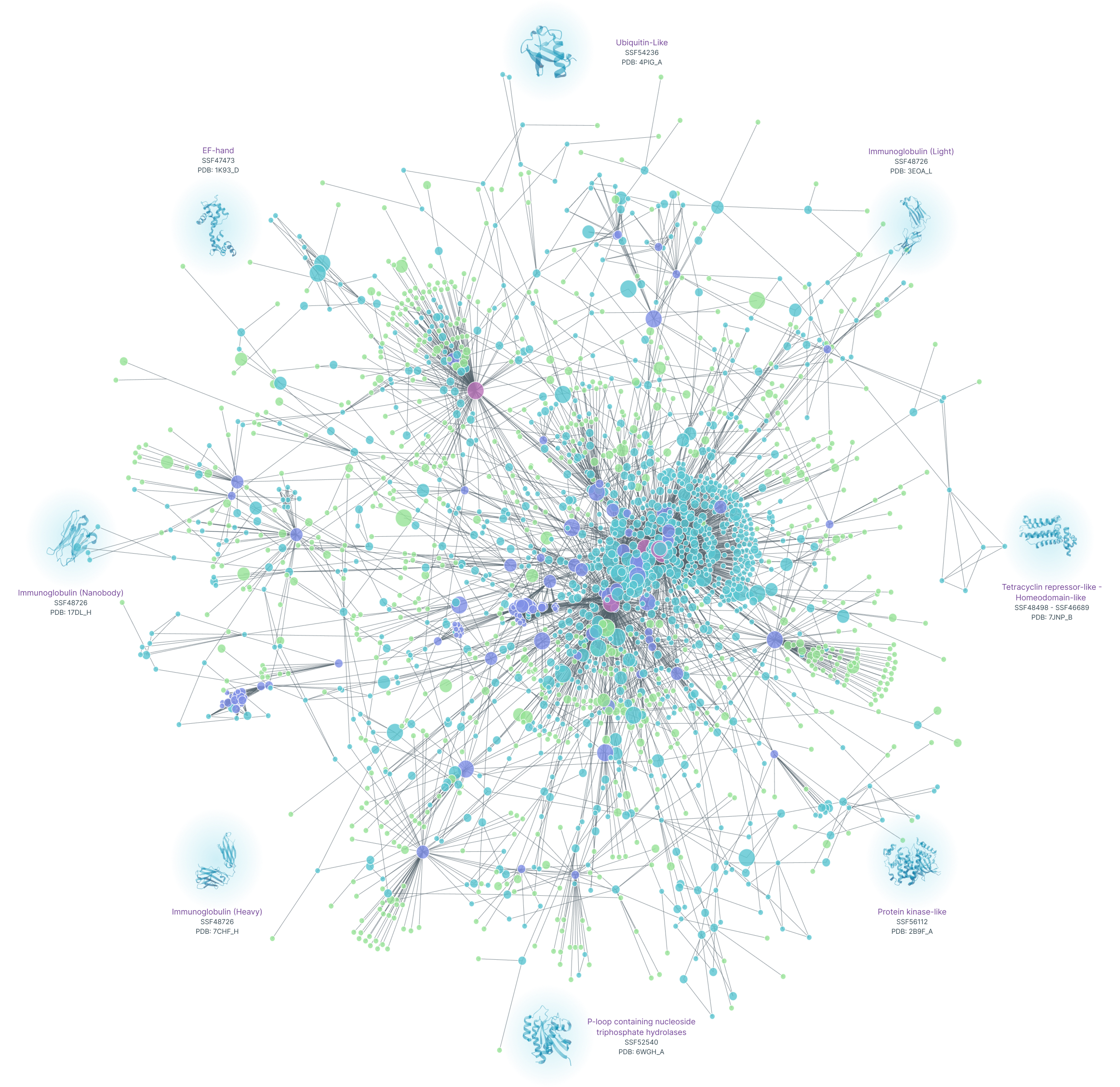 Protein-Protein Interaction network graph of the largest connected component of the ProteinFlow dataset (2023), which contains over 2K protein clusters connected by their protein interactions.